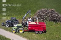 Wood chips 39