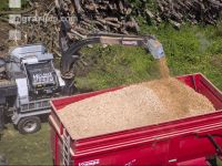 Wood chips 35