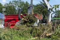 Wood chips 26