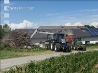 Wood chips 25