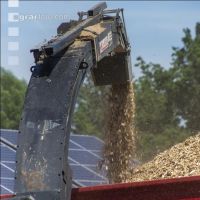 Wood chips 23