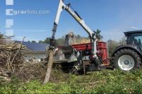 Wood chips 21