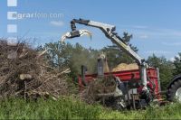 Wood chips 19