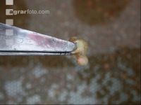 Brut sortieren 2