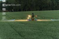 WW Fungizid Abendstunden 14