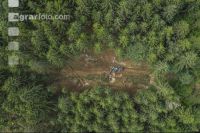 DJI 0368