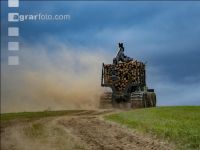 Forwarder Käferholz 23