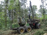 Forwarder Käferholz 22