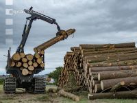 Forwarder Käferholz 17