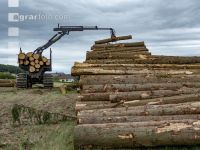 Forwarder Käferholz 14