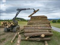 Forwarder Käferholz 13