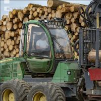 Forwarder Käferholz 8