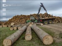 Forwarder Käferholz 7