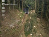Harvester Käferholz 42