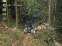 Harvester Käferholz 41