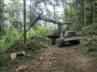 Harvester Käferholz 39
