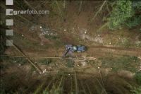 Bark beetle damage 143