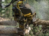 Harvester Käferholz 26
