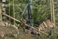Harvester Käferholz 23