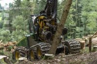 Harvester Käferholz 20