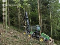 Harvester Käferholz 19