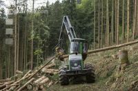 Harvester Käferholz 17