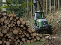Harvester Käferholz 16