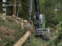 Harvester Käferholz 15