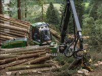Harvester Käferholz 13