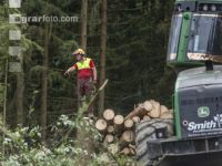 Harvester Käferholz 10