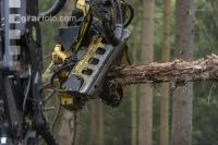 Harvester Käferholz 7