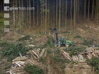 Harvester Käferholz 4