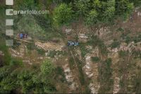 Bark beetle damage 112
