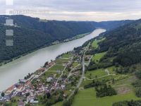 Käferholz im Donautal 2