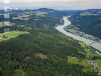 Käferholz im Donautal 1