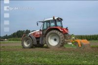 Grub on grassland 48