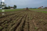 Grub on grassland 47