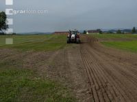 Grub on grassland 43