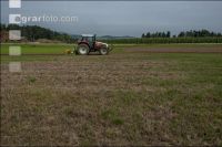 Grub on grassland 42