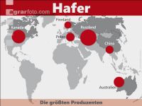 Hafer weltweit 1