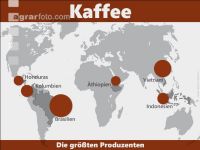Kaffee weltweit 1