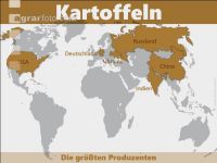 Kartoffeln weltweit 2