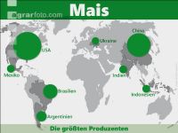 Mais weltweit 1