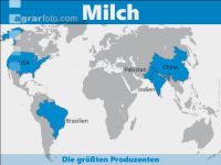 Milch weltweit