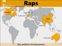 Raps weltweit 2
