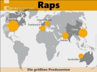 Raps weltweit 1