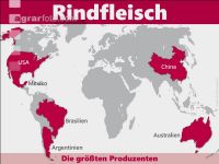 Rindfleisch weltweit 2