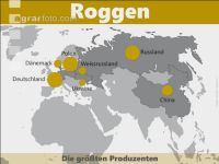 Roggen weltweit 02
