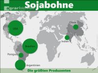 Sojabohnen weltweit 1