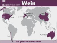 Wein weltweit 2